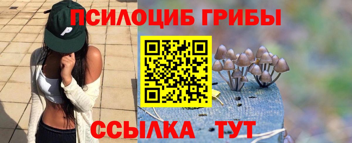 Миллерово  Галлюциногенные грибы Cubensis  Вход с VPN  Галлюциногенные грибы Psilocybe 